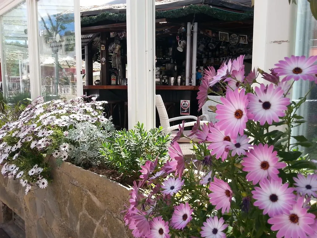 Hotel Celo Garden Peguera Španělsko